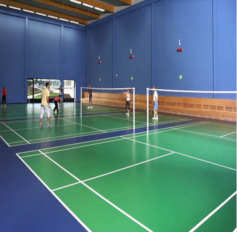 F2 Shuttle Indoor Court